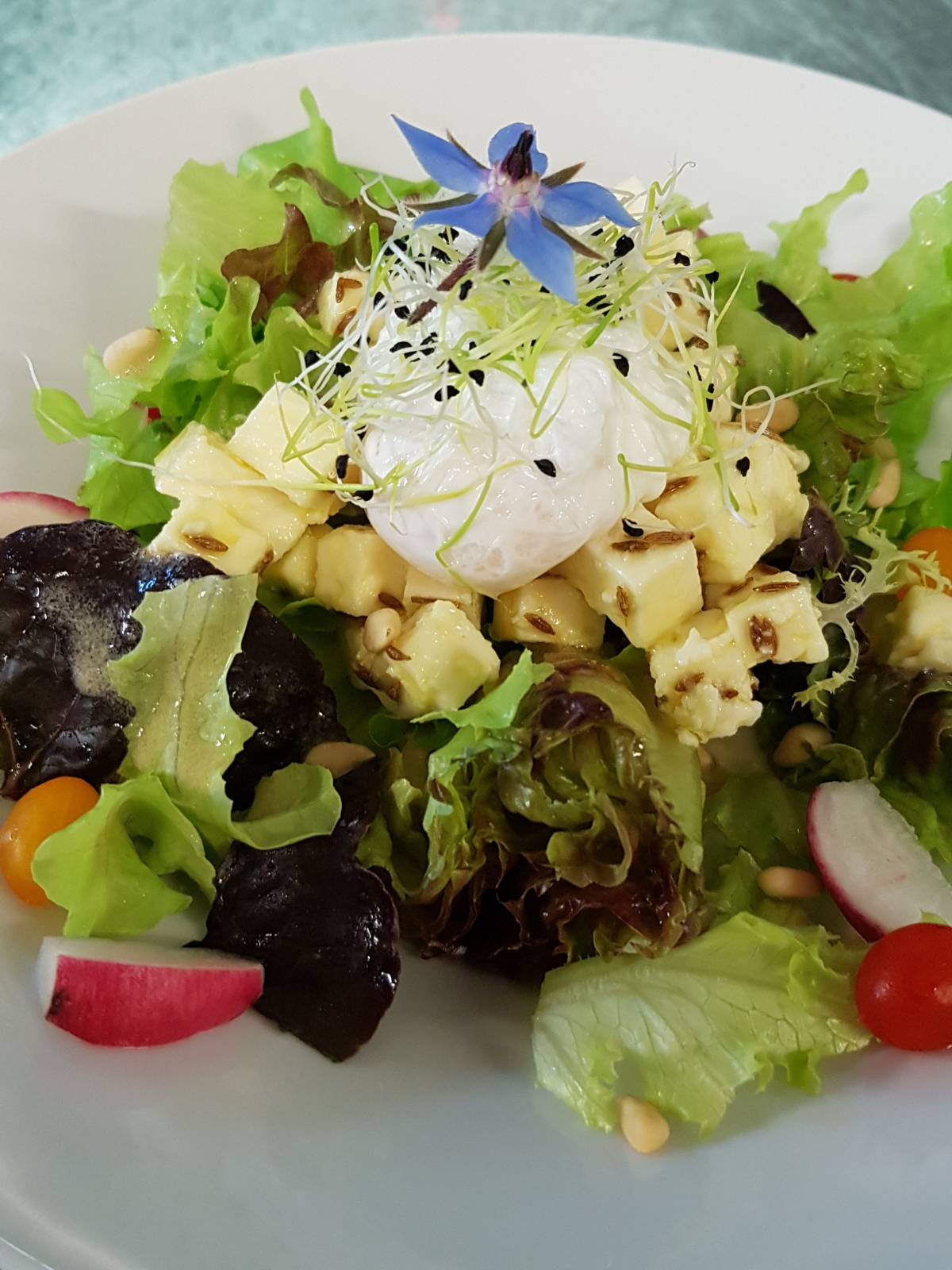 Salade de munster blanc et son &oelig;uf poch&eacute; Guebwiller