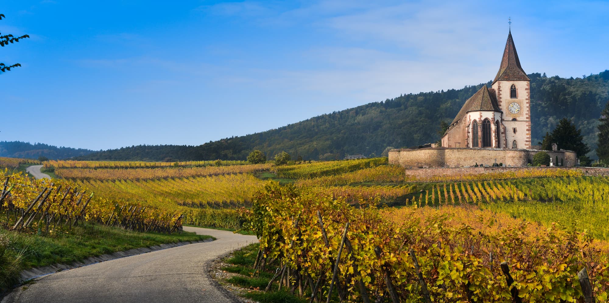 LOISIR | Auberge Obersolberg Côté loisirs à Munster : plusieurs activités accessibles à proximité de notre hôtel-restaurant ! Saint-Dié-des-Vosges