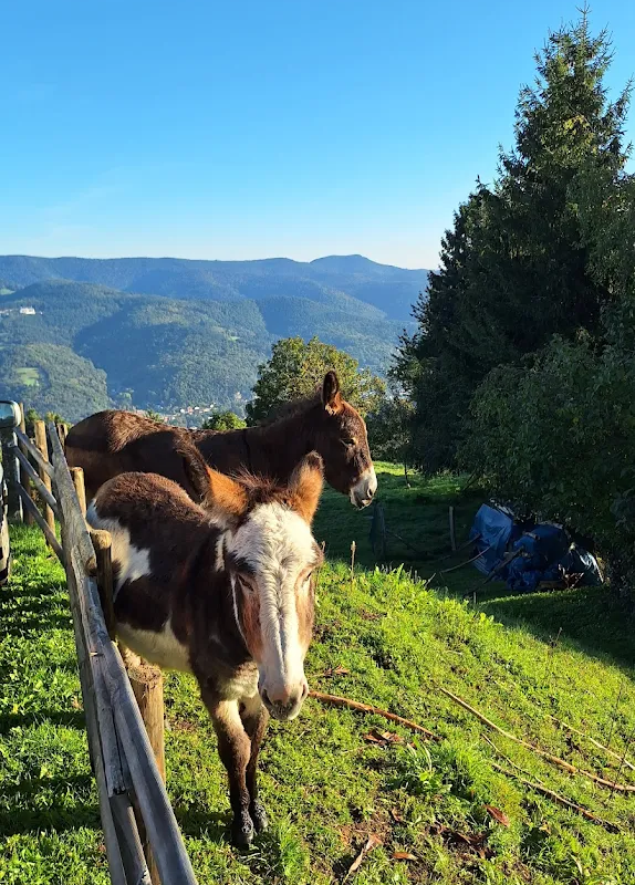 En images Guebwiller 17